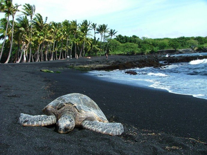 Черный пляж Пуналулу на Гаваях