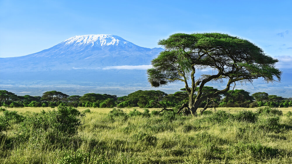 Гора Килиманджаро в Танзании