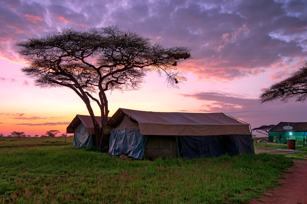 Отель и кемпинг в Танзании