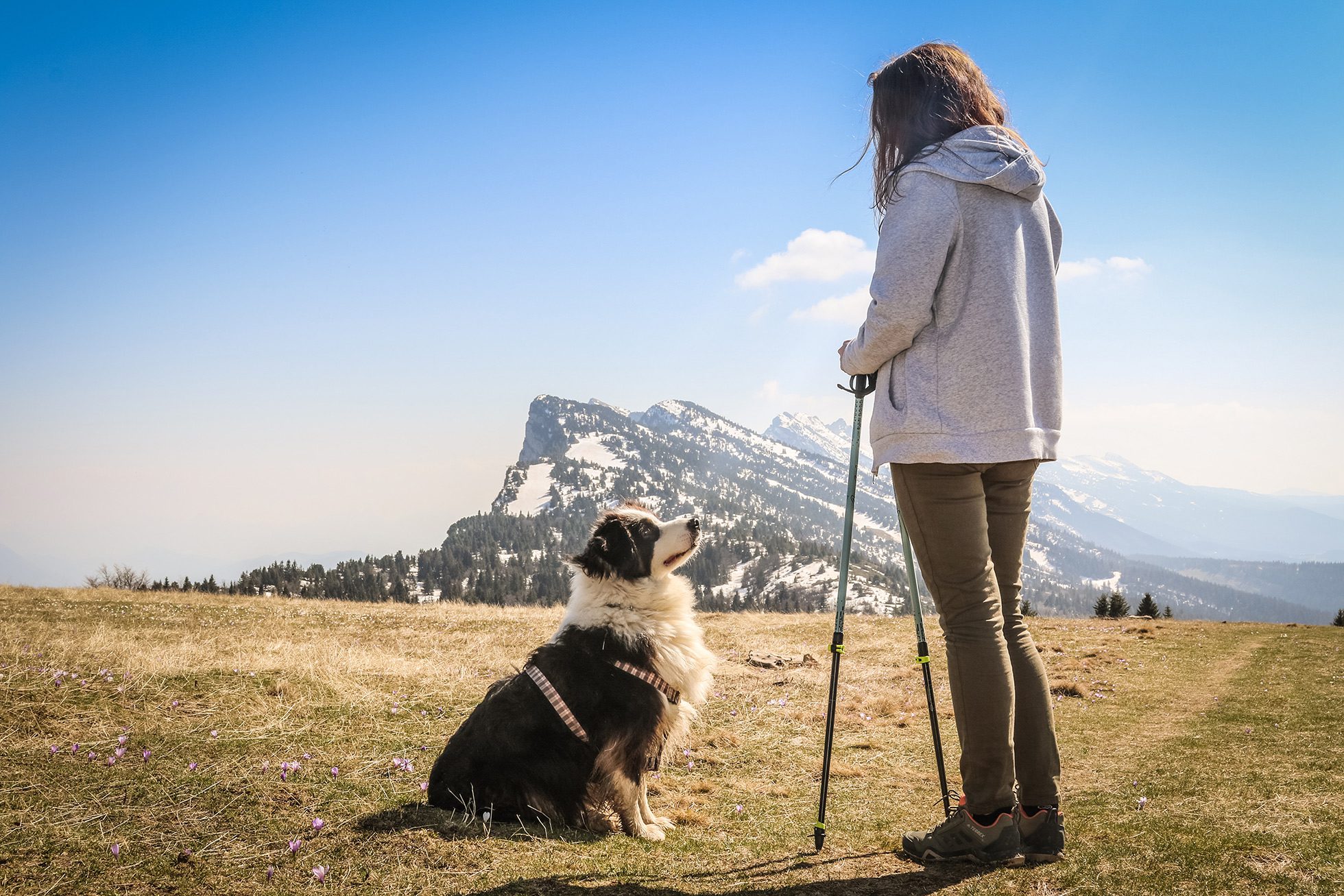 Путешествие с собакой в горы