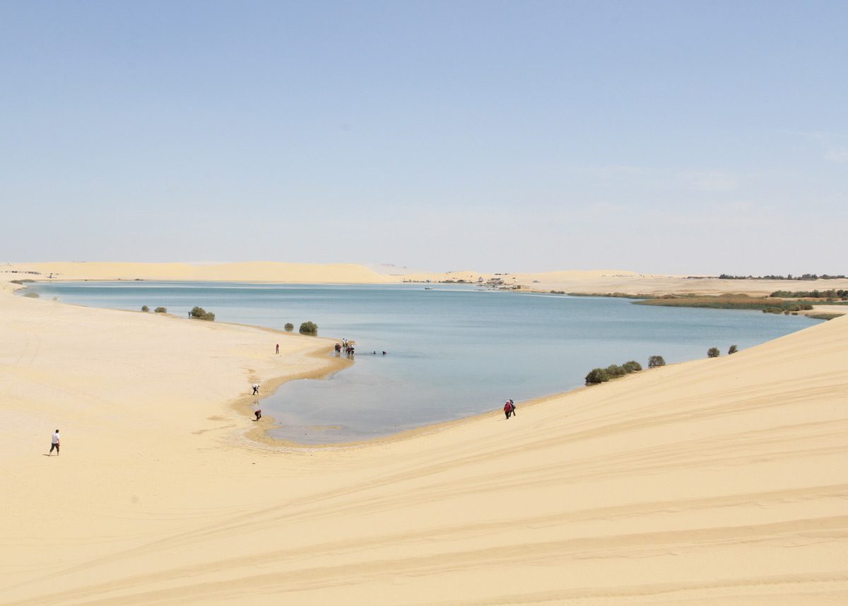 Неглубокое озеро посреди пустыни