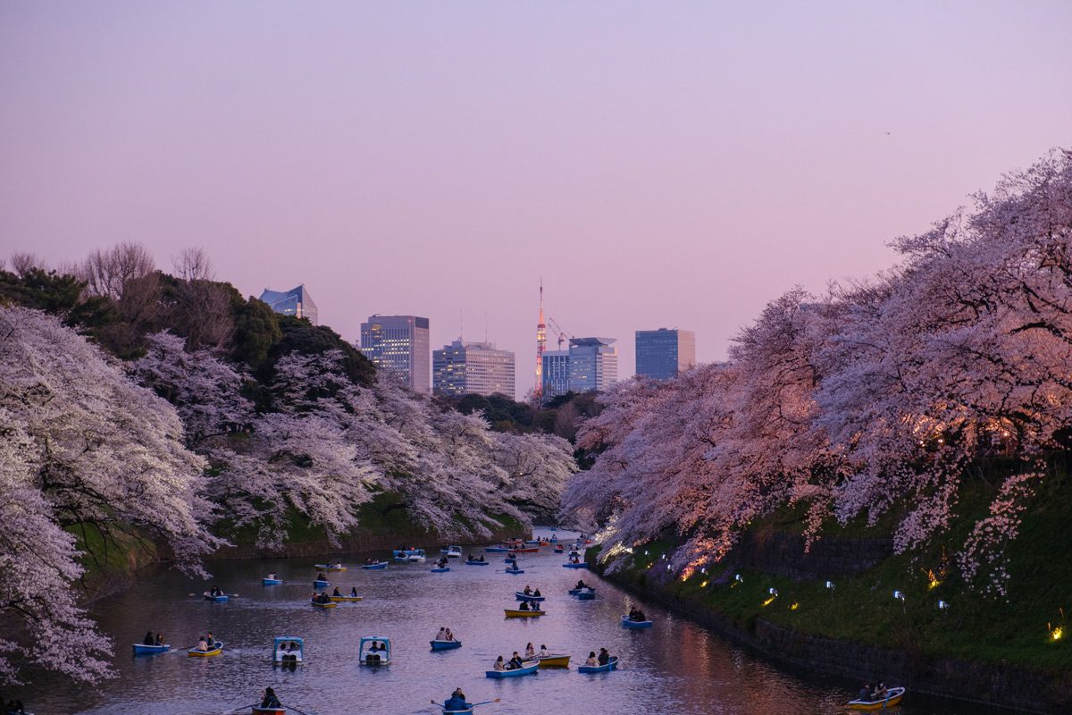 Японская река при закатном солнце