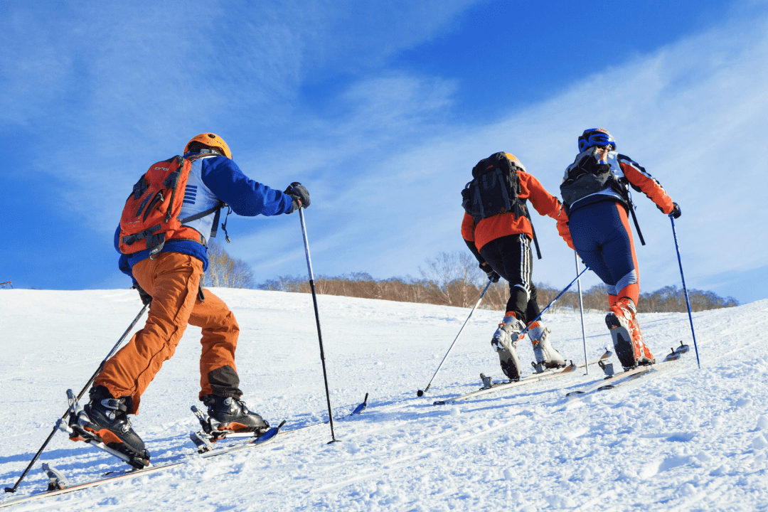 Лыжники поднимаются в гору