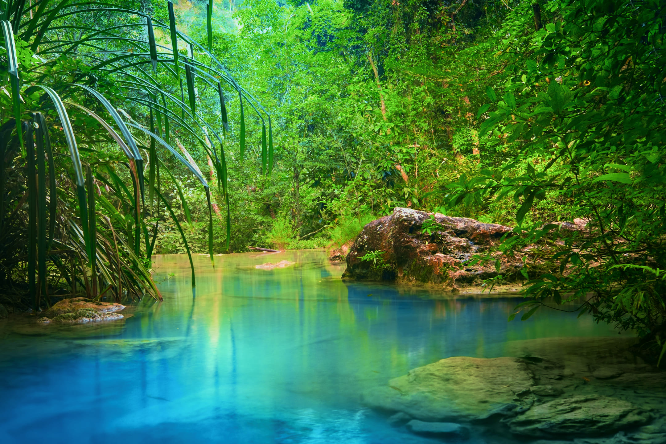 Озеро в тайском лесу