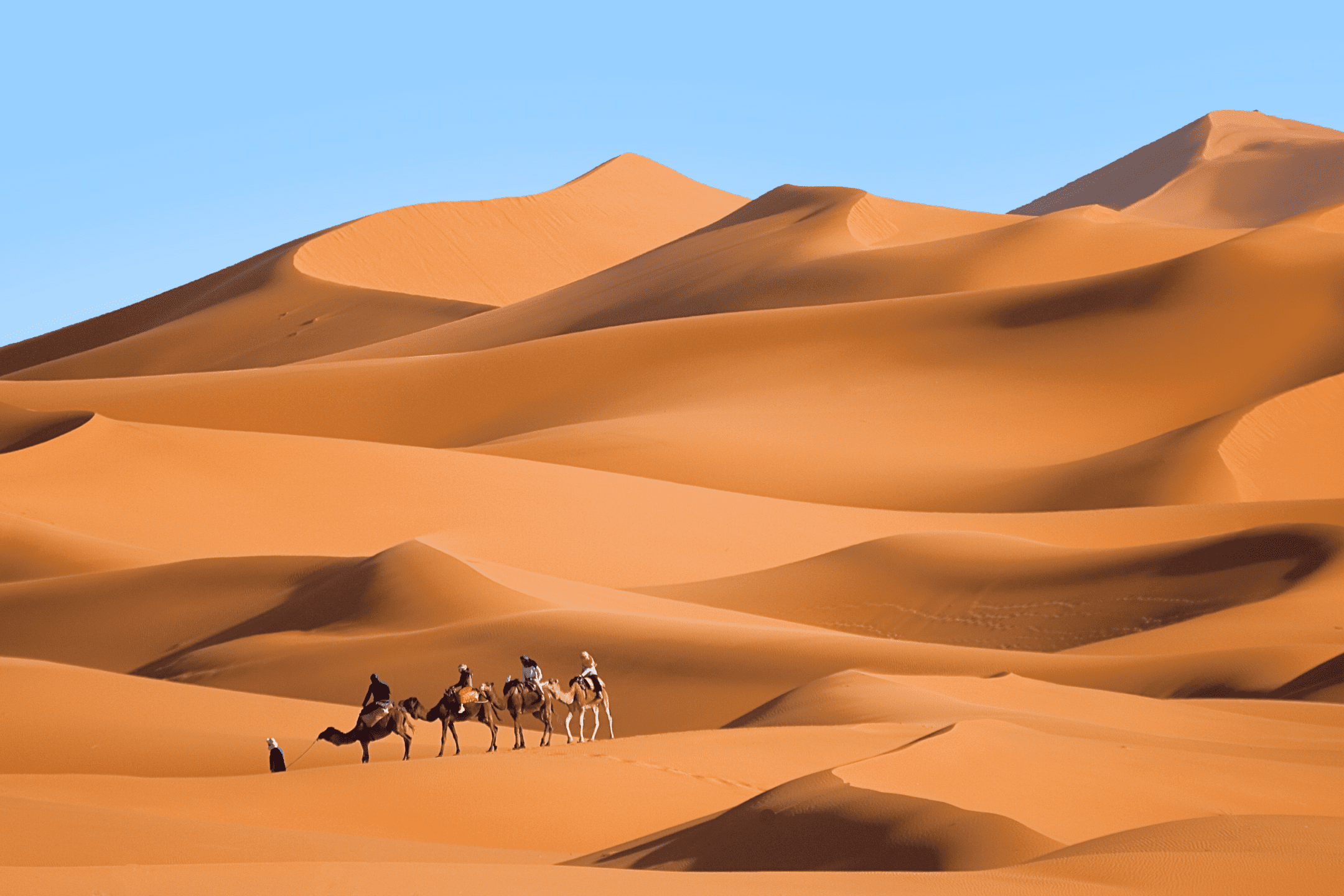 Туристическая группа в пустыне