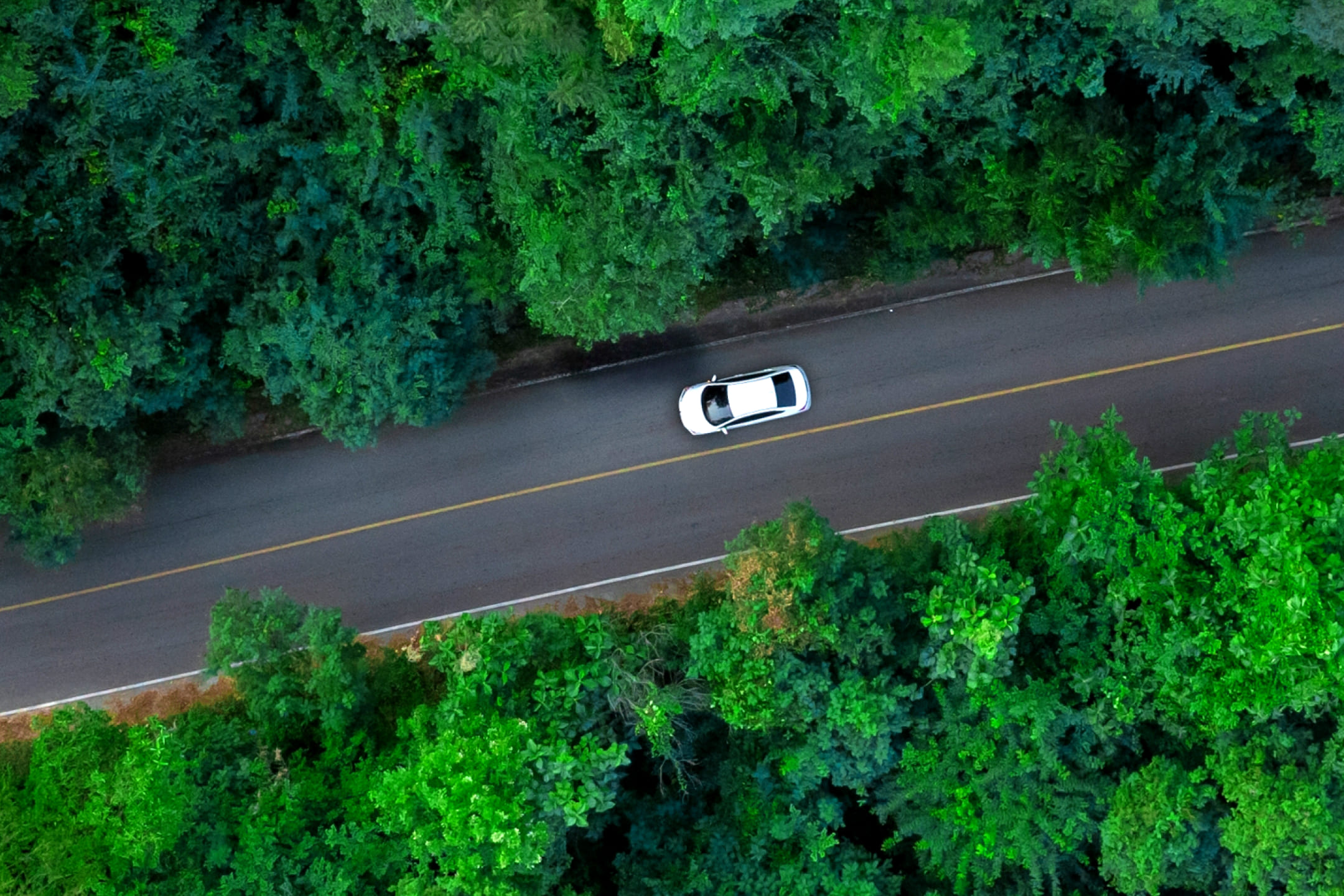Белая машина едет по правой стороны дороги в окружении леса